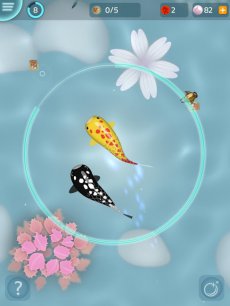 Zen Koi - Breed & Collect Fish